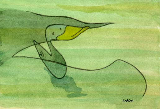 Duck Enters Mysterious Waters