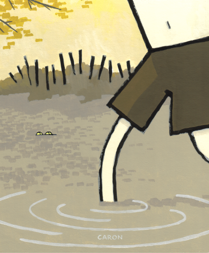 Swimmin' Hole